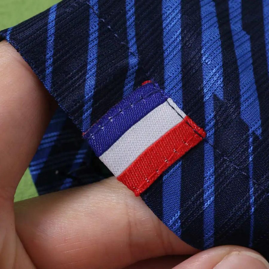 2026 FIFA World Cup France Home